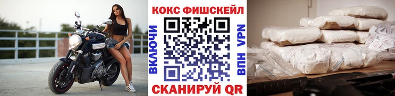 купить  цена  Северская  Cocaine VHQ 