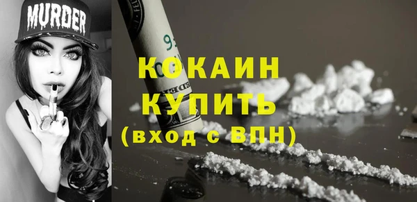 мдпв Няндома