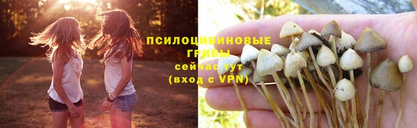 мдпв Няндома