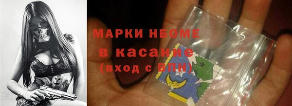 дживик Новозыбков