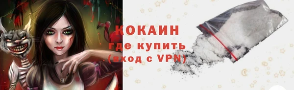 дживик Новозыбков