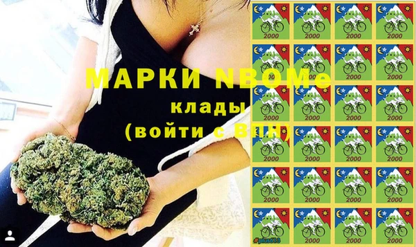 дживик Новозыбков