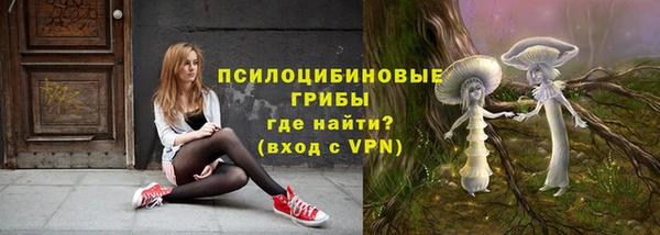 мдпв Няндома
