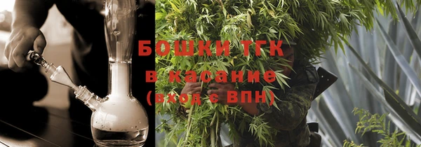 дживик Новозыбков