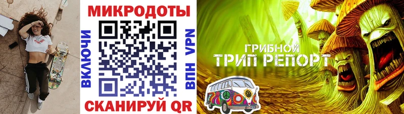 Псилоцибиновые грибы Psilocybine cubensis  Северская 